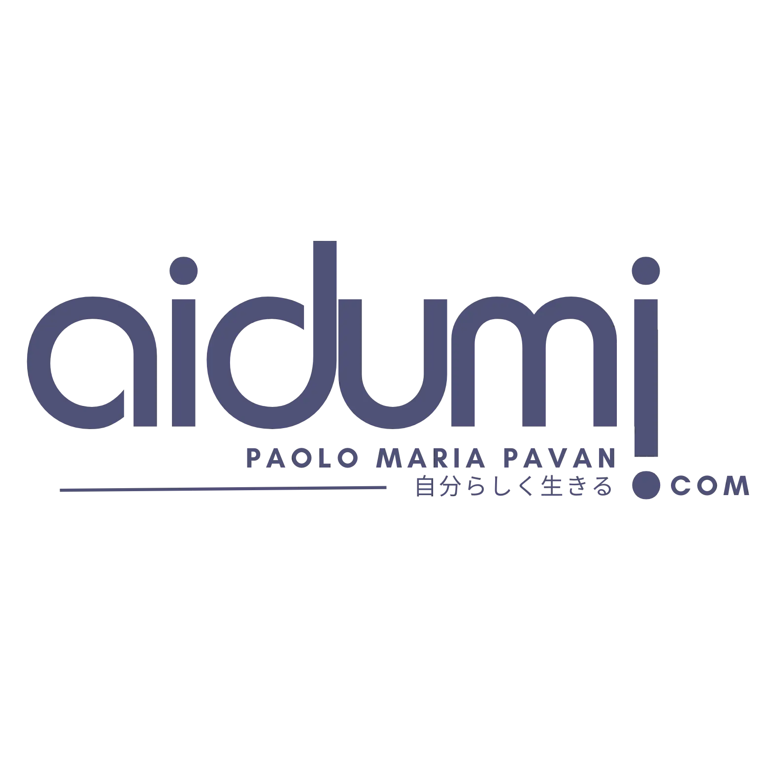aidumi